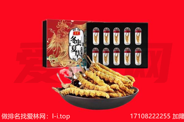 西城区回收虫草.jpg
